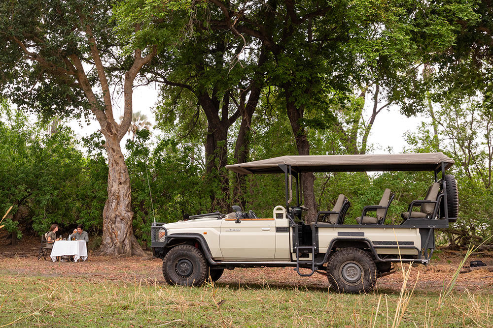 bush lunches in the Okavango